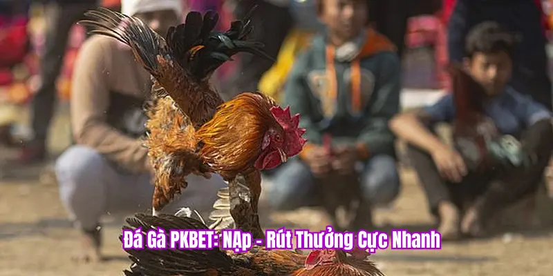 PKBET nạp/rút cực nhanh