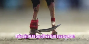 Phân biệt đá gà cựa sắt, cựa dao