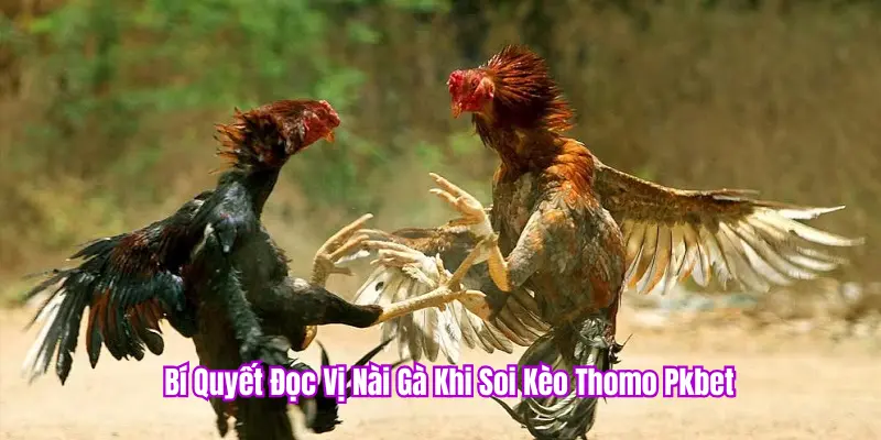 Kết hợp kinh nghiệm để cược chuẩn