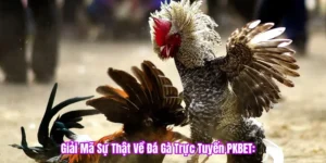 Giải mã đá gà trực tuyến PKBET