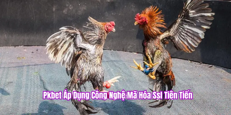Hệ thống bảo mật chặt chẽ