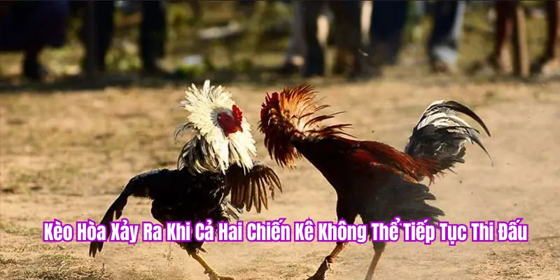 Kèo hòa là kèo hai bên hòa nhau