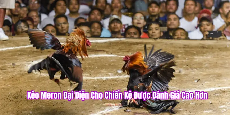 Kèo Meron là kèo cửa trên