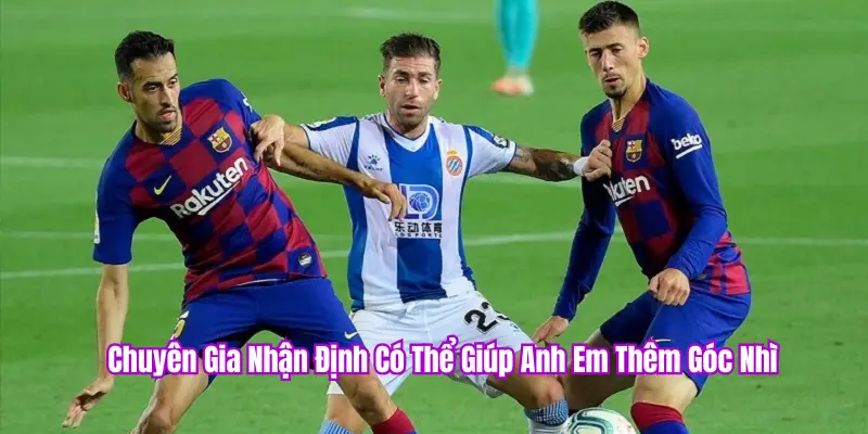 Tham khảo ý kiến chuyên gia